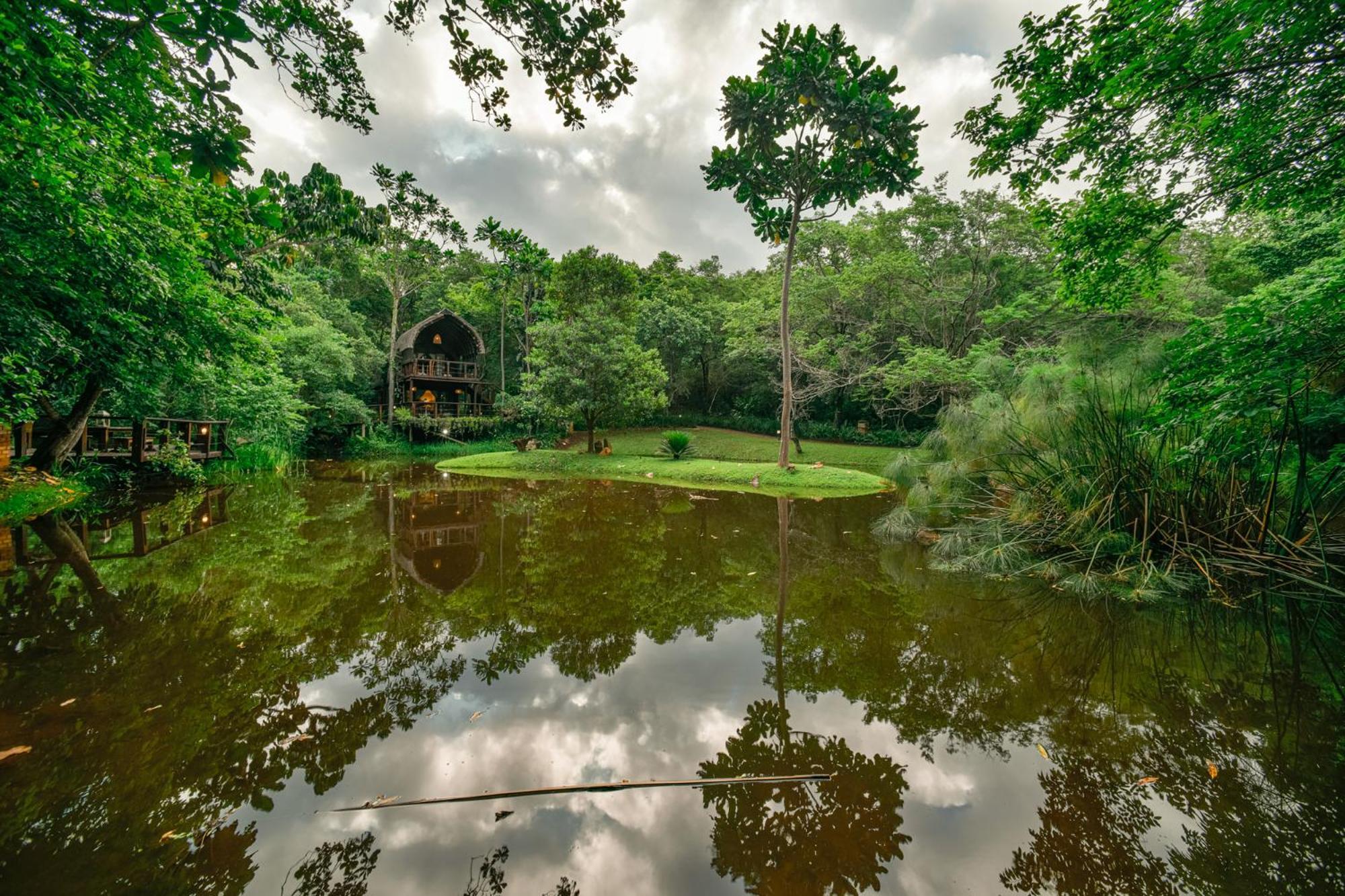 Serenity Mountain And Forest Lodge Малелейн Екстериор снимка